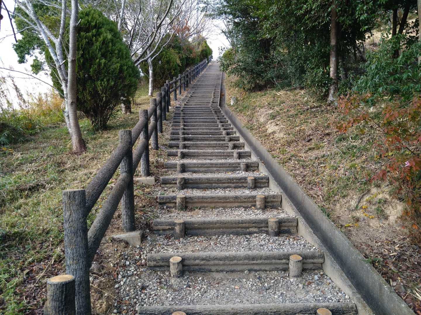 このお山は整備バッチリで登りやすい👍