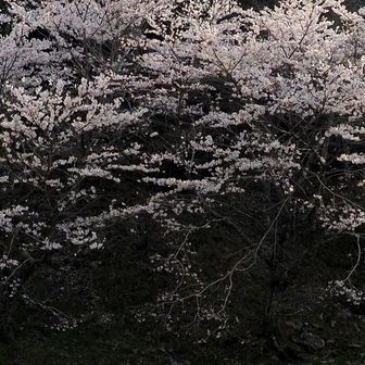 暮れゆく山に、淡雪のごとく 
ゴールまで僅か 今日はよく歩きました

おしまい