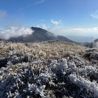 霧氷綺麗やな。でも今日の晩御飯牡蠣なんよ！はよ帰らな！