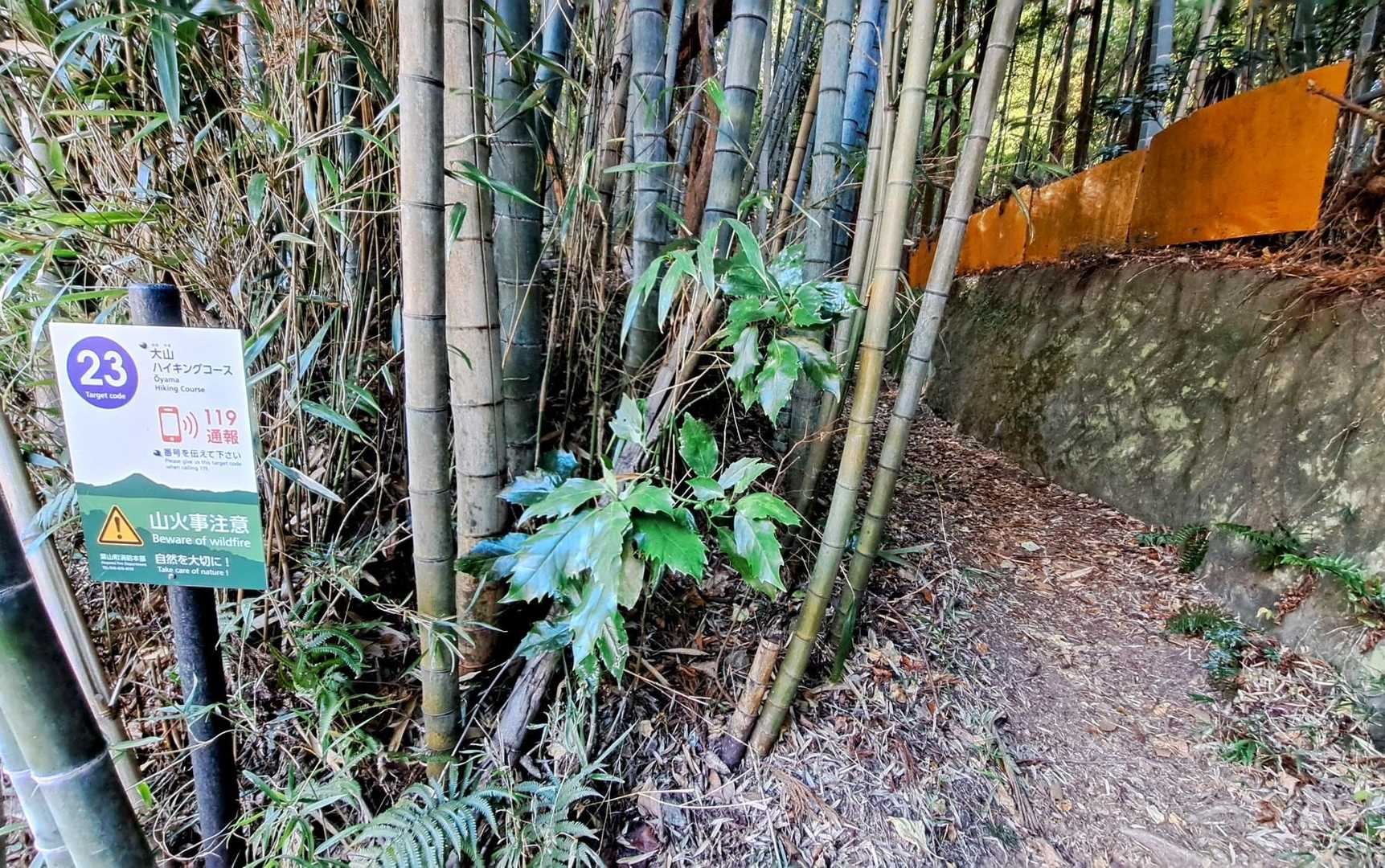 再び登山道に入ります✊️