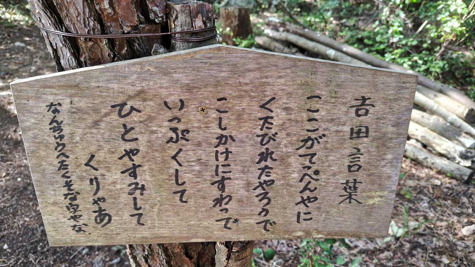 遠見山-権現山 周回コースの写真