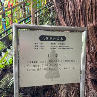 …だそうです…🤔