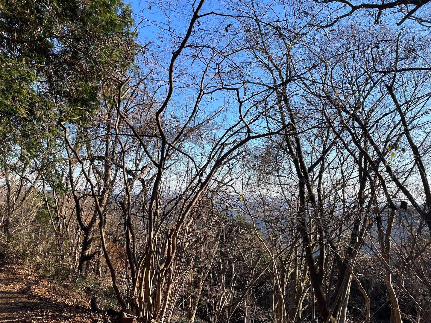 落葉しちゃったな🍂🍂🪾
木製階段になり