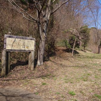 片岡山登り口
すぐ先でアセビが綺麗に咲いています。