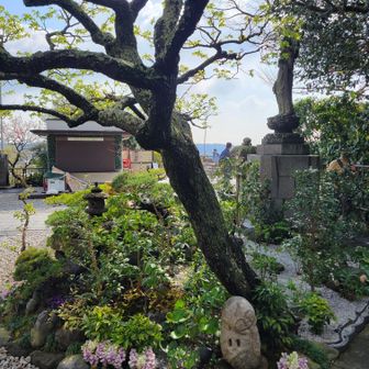 隠れ地蔵。尊い