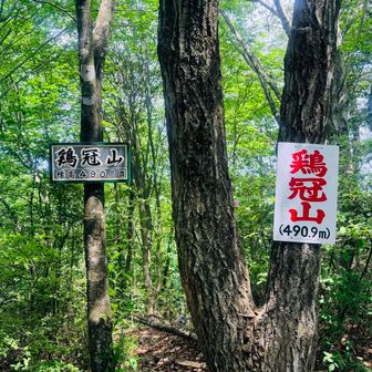 鶏冠山