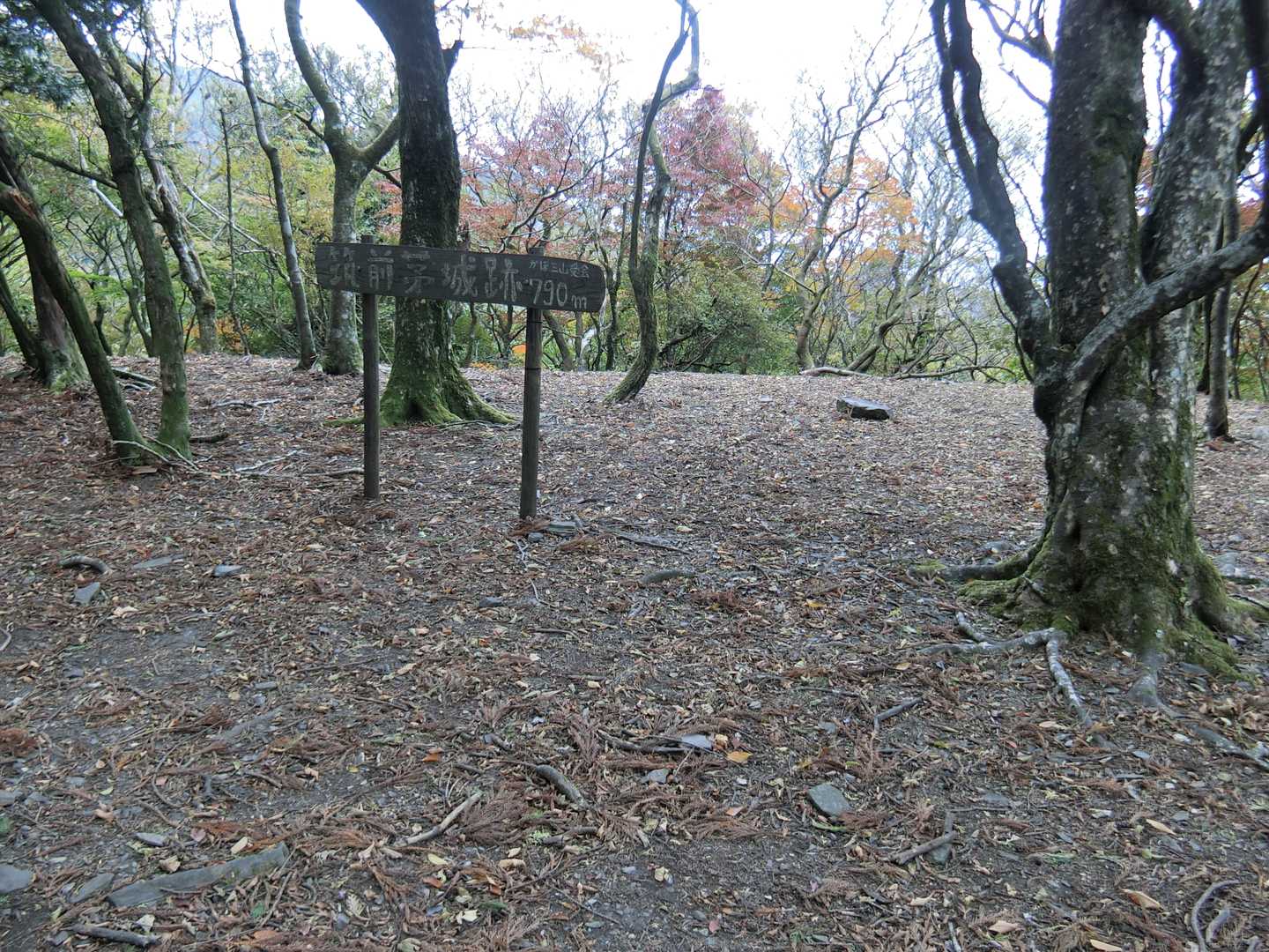 筑前茅城跡