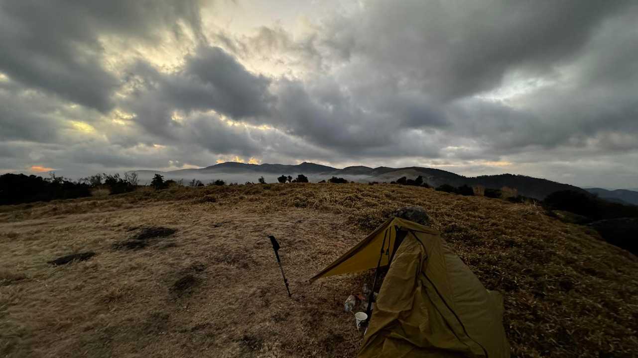 伊豆山陵線トレイル（三蓋山・水呑頭・猫越岳・後藤山・魂の山・棚場山・伽藍山・古稀山・達磨山・小達磨山） の写真 57