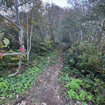 田尻尾根登山口