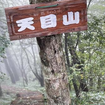 榛名富士から一旦下山し天目山へ。
七曲峠から階段を直登で濡れた木の階段が滑べる。
当初。山友はここ天目山から隣りの氷室山へ下る予定でしたが、すれ違った姉さんグループからすごい滑ったと言われたので断念。次回だね。