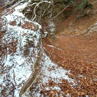 七曲滝からこっちに上がってくる場合、この終盤はお助けロープあるけど急斜面の泥質土壌と落ち葉で滑りやすく、かなり大変💦