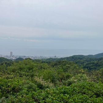 東山⛰️山頂から