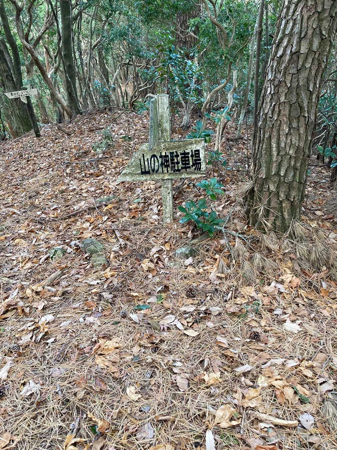 野原コース登山口-七洞岳 周回コースの写真