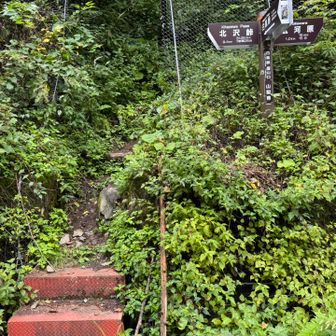 登山口手前に黒い物が😱
慌てて熊避けホーンを鳴らしたら、木の切り株だった🤣🤣
あれを間違えるのは、私だけ？🤣

広河原迄林道歩いて、2時のバスに間に合いました😅
甲府行きのバス停に、ザックを置いて、順番待ち😁
2時出発のバスは満席🈵
乗る時に、夜叉神迄1330円払います😁
約40分程で、到着😁
バスに乗ったら雨も降ってきて、濡れなくて済んだ😅

今回は山梨で買った、シャインマスカットやオレンジを食べたりしたので、途中で仮眠する事無く、無事に家まで帰れました😅