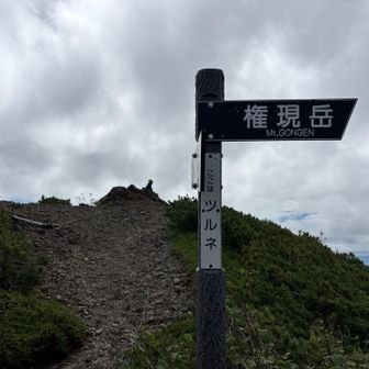 ツルネです！