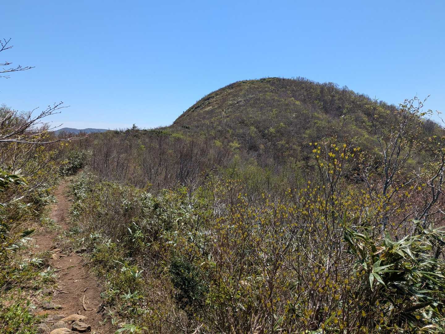 丸い取立山
