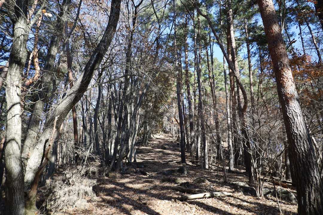 ここはなだらかな道