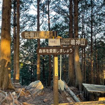 鳴神山に向かう