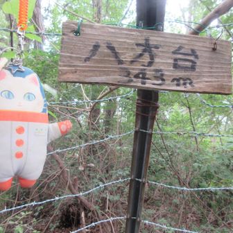 八方台