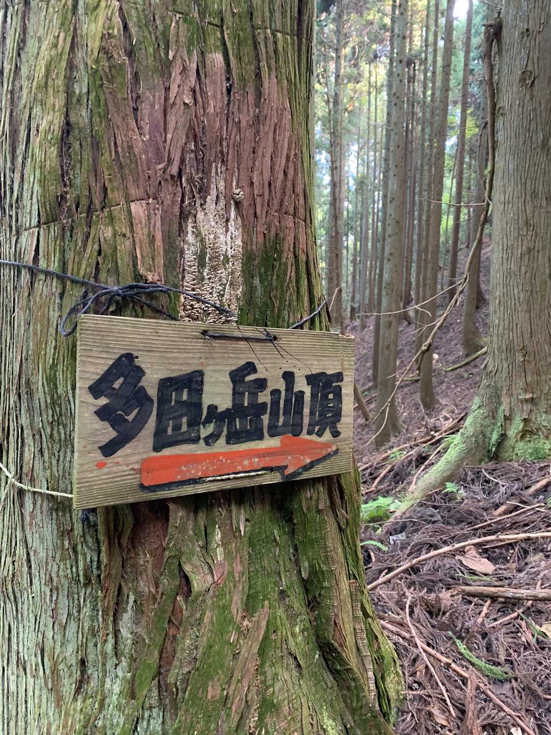 看板が新しい🪧