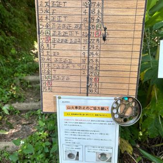 書いた割には人に会わない…
山あるある笑笑