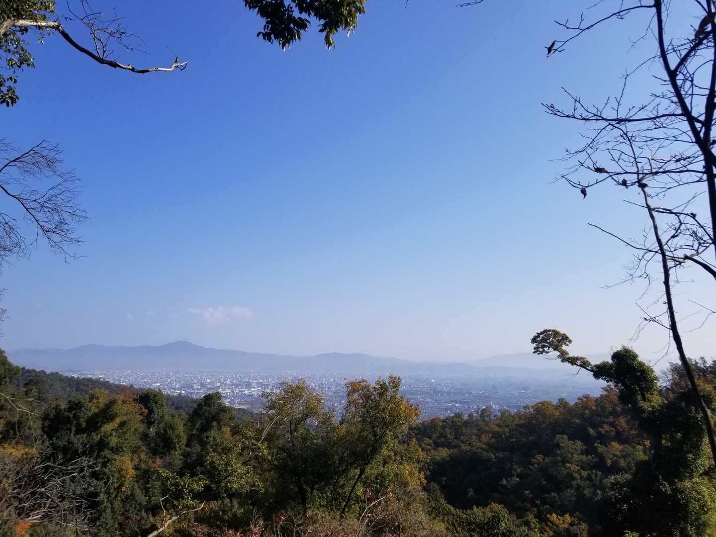 登って、開けてきた✨
前回登った「大文字山⛰️」見えるね
左は比叡山⛰️