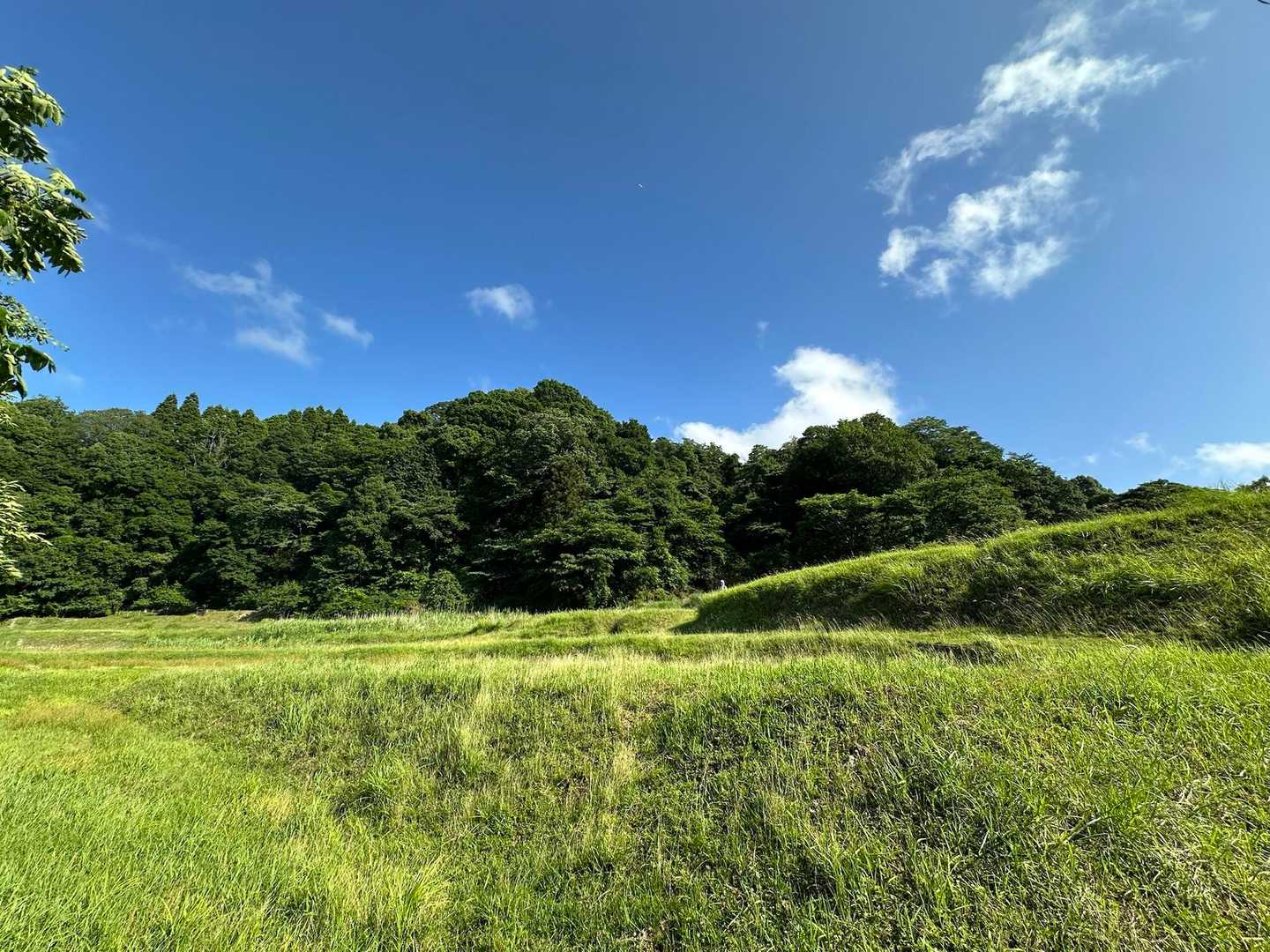 里山