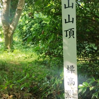 山頂