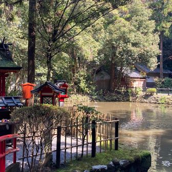 狭井神社の敷地内にある庭池②