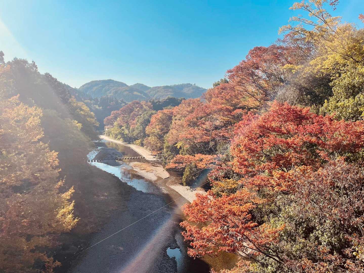 ここが1番紅葉してた🍁