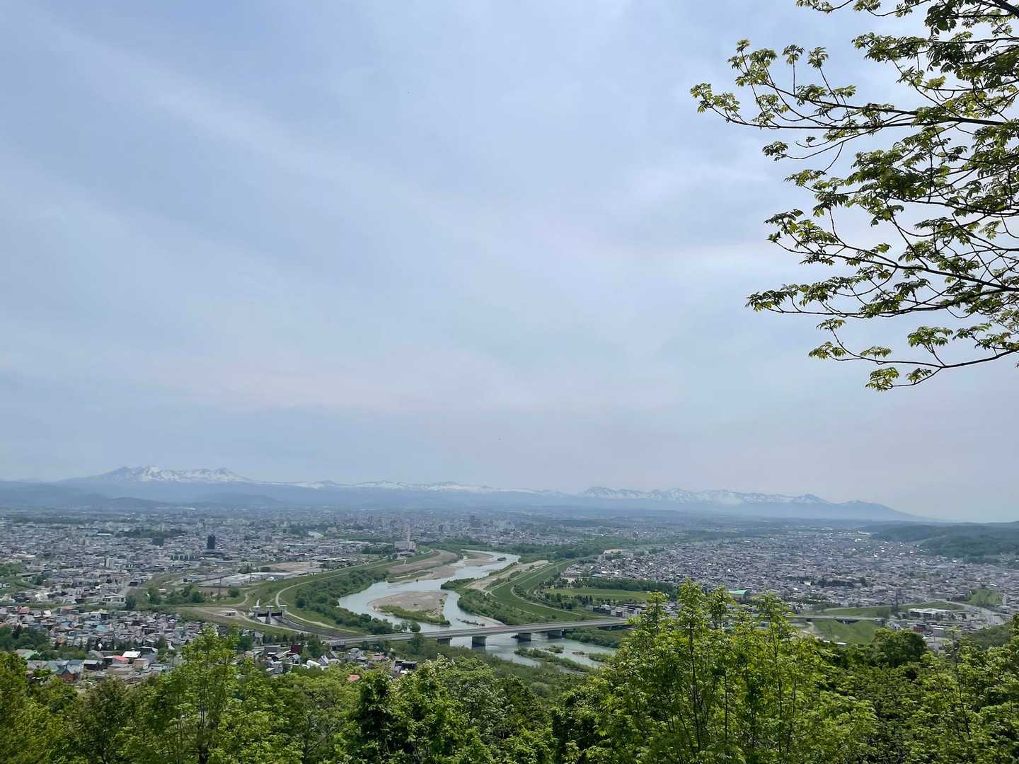 嵐山-近文山 往復コースの写真