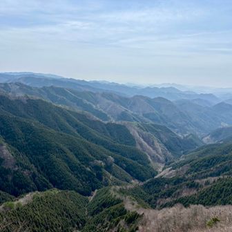登りきり、後ろを振り向けばこの通り！
少し霞んではいるが上等🫶
生きた心地がする