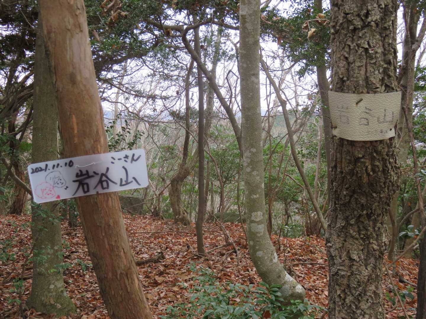 岩谷山（広島県）の写真