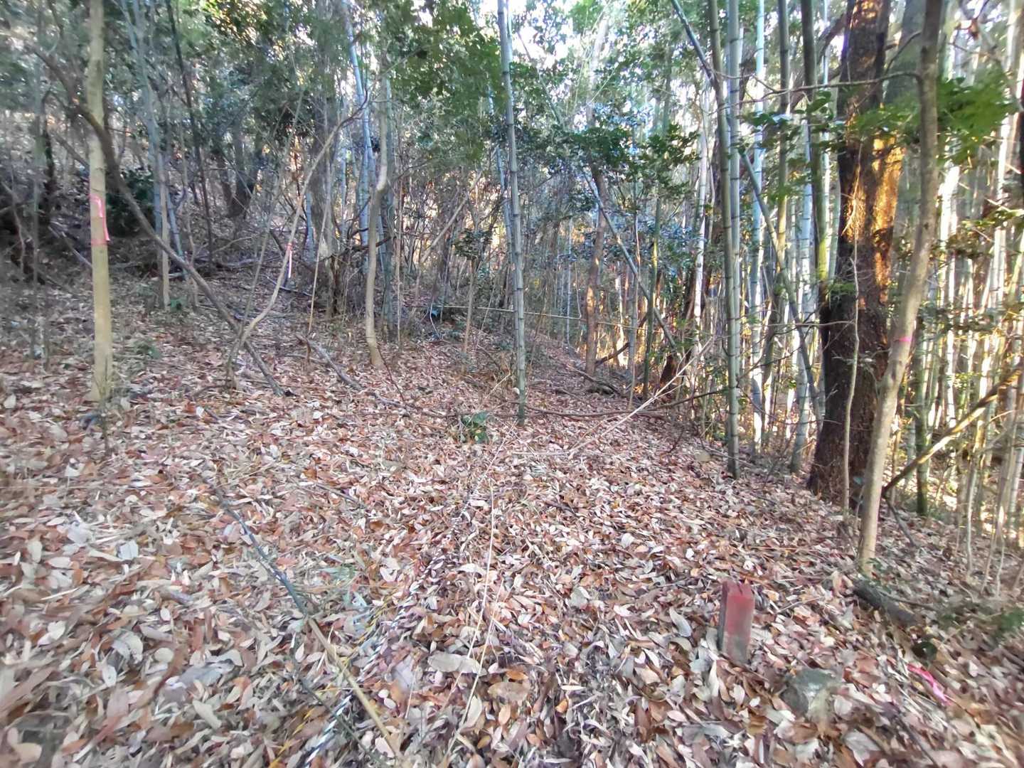 最初はわからなくて
ロープの誘導と、ピンテの位置関係が理解出来なくて
何このカオスな状況
とか思ってましたw