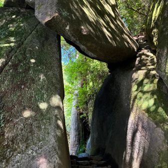 さあ下山ルートは奇岩ゾーン🪨
岩も滑りやすいので注意⚠️