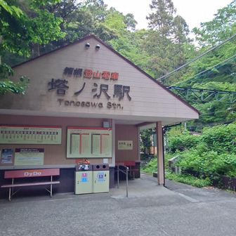 塔ノ沢駅の向こう側に深沢銭洗弁財天⛩️は有るようです。