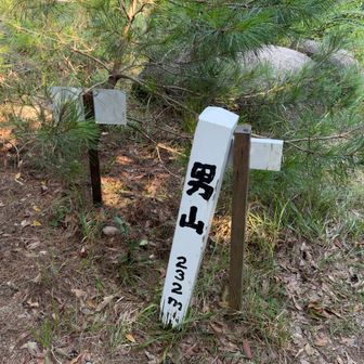 男って感じの山頂標識。、