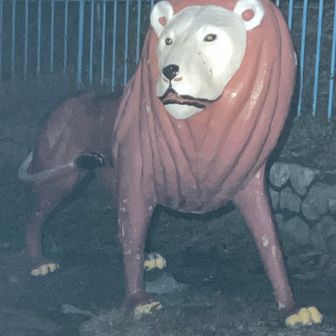 いつもの須磨裏山上遊園のライオンに、今年はお世話になりましたとご挨拶。
園内の山茶花が赤く咲いていた。
