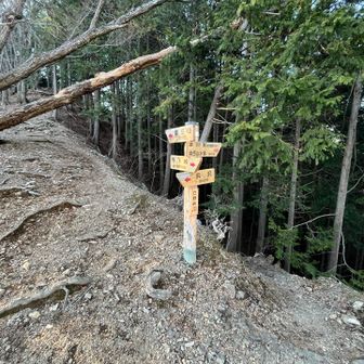 立野峠到着✌️
後は下るだけです🚶‍➡️