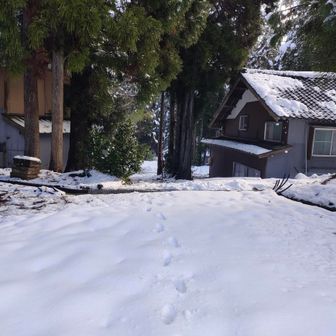 ハゲ山西種登山口