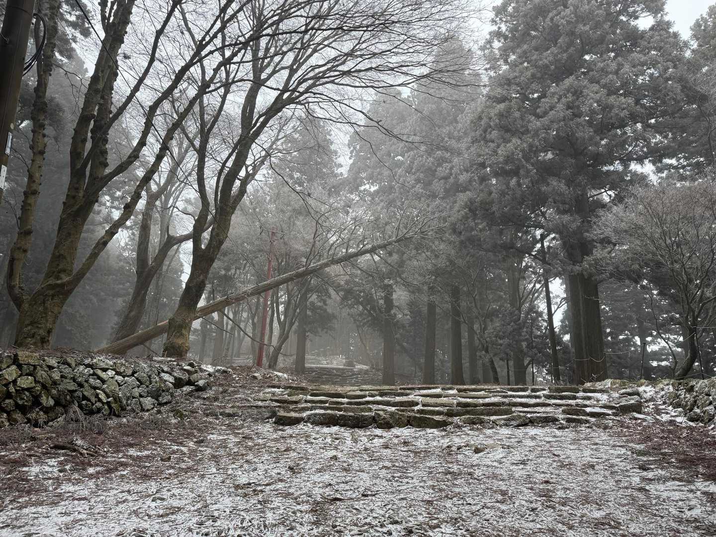 遠くからもわかったけど、ガッスガス。
小雪ちらほら。