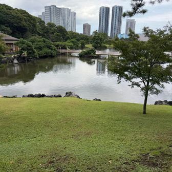 そして一つ目ピークの八景山⛰️
別に山頂表記もないし、謎にここを山にしたのだろう🤔