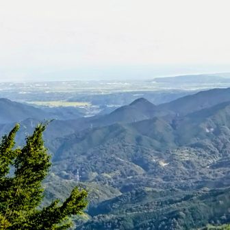 真ん中の三角形の山は「金花山」です♥️