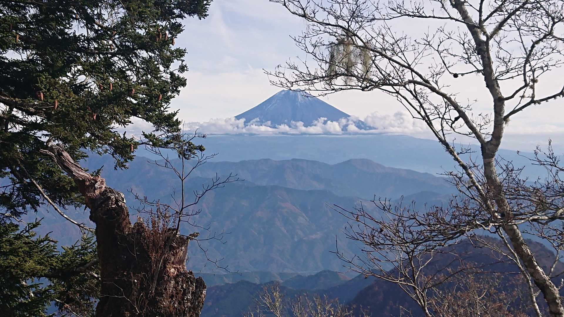 この辺りで視界が開けますが、富士山はこんな感じ😓