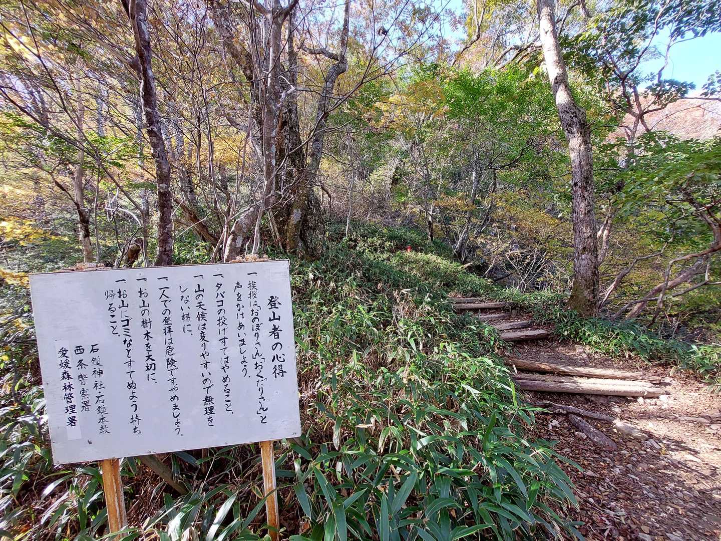 わたしは、おのぼりさん。
登ってるし正に、おのぼりさん。

ひとりの登拝はやめましょうってか。。。