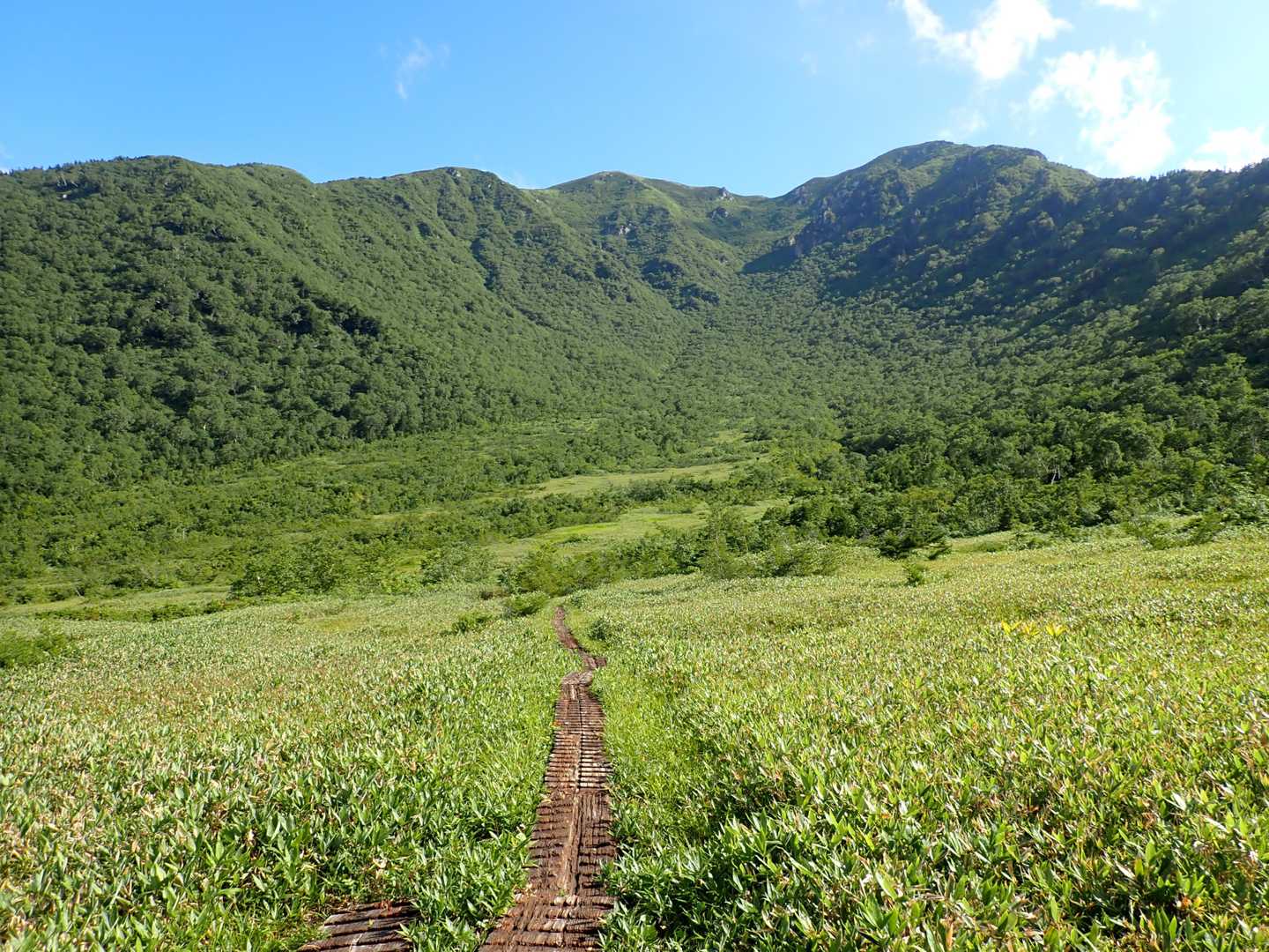 いつものきれいな風景！
この辺りからの大日岳が好き