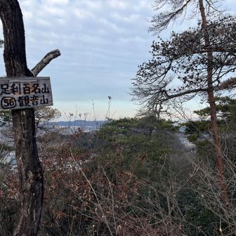 最初のピークまずは観音山⛰️