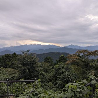 一丁平でも、高尾山でも、富士山は拝めずでした