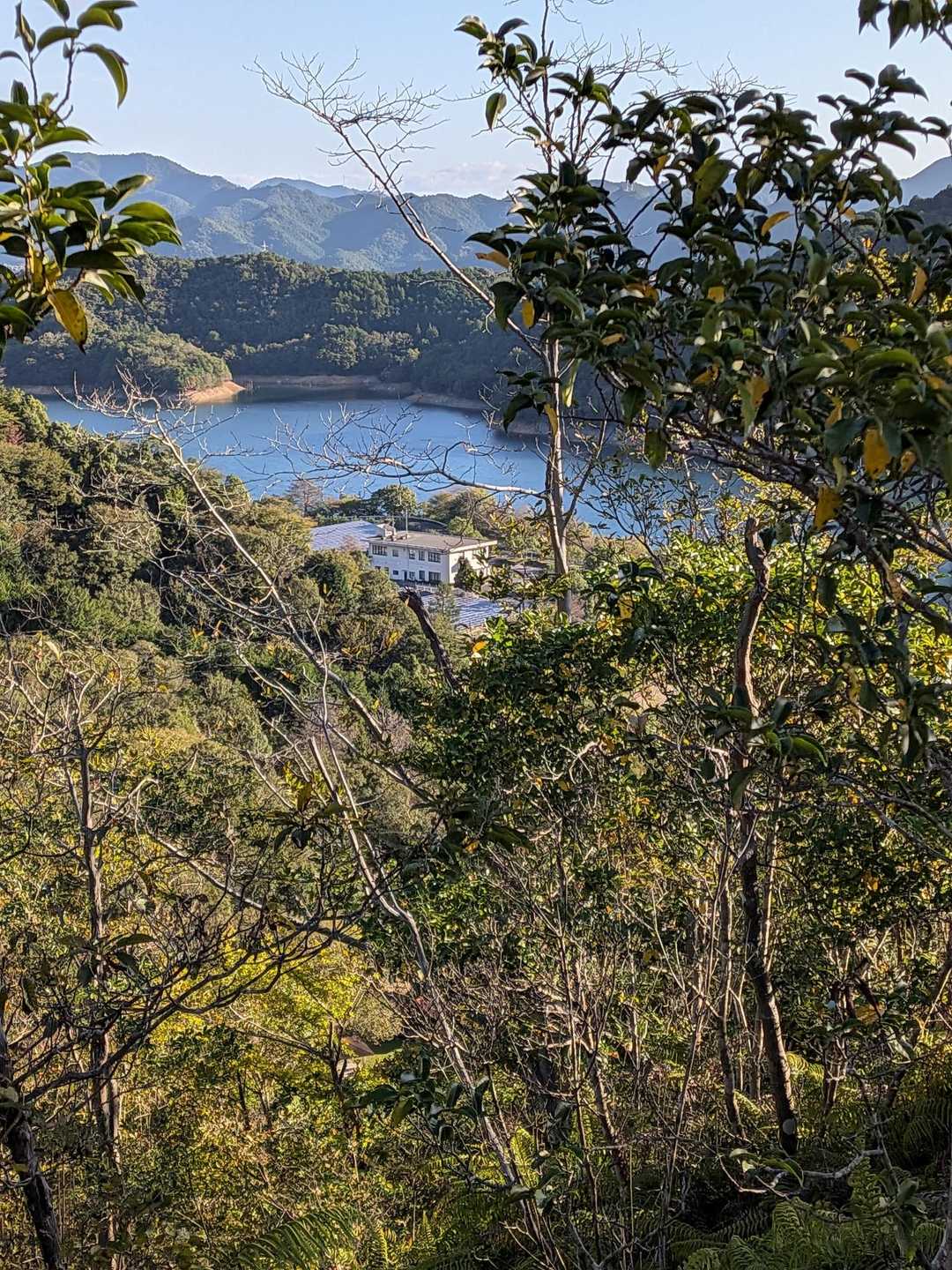 ダム湖🫡