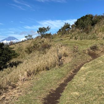 富士山を眺めながら歩けるのがこのコースの良きポイントです